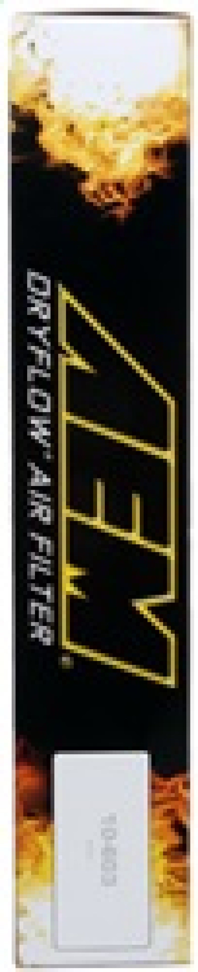 AEM 2003-2008 Honda Accord 2.0L/2.4L / 2004-2008 Acura TSX 2.4L DryFlow Air Filter